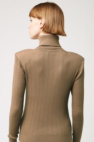 Pull Camel