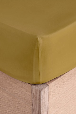 Drap-housse en coton 57 fils/cm² Casual - Moutarde