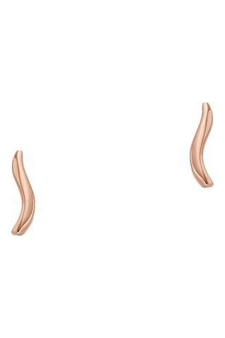 Oorbellen - Roségoudkleurig en Zilverkleurig