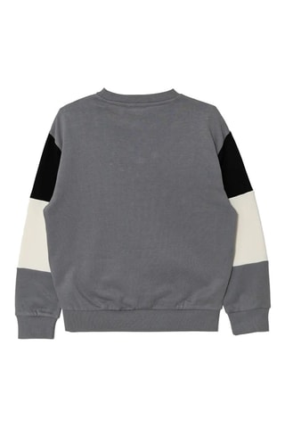 Sweater - Grijs en Wit
