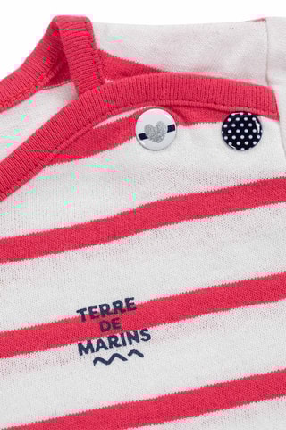 T-shirt Pestelan - Blanc et rose - Terre de Marins