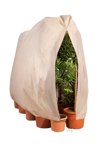 2 housses de protection pour plantes  - Beige