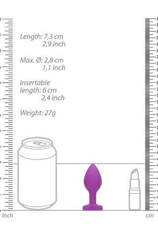 Buttplug Paars en Zilverkleurig - 7,3 x 3,1 cm