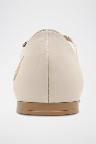 Ballerines Teddy  - Multicolore