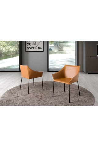 2 chaises - 47 x 50 x 80 cm