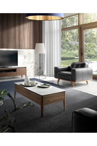 Fauteuil en cuir -
Noir