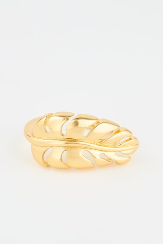 Ring - Goudkleurig