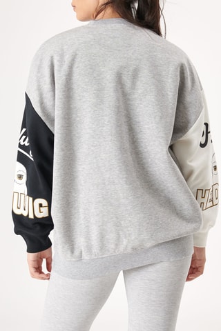 Sweat Hedwig Harry Potter Coloedwigiz - Cinzento