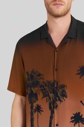 Chemise regular - Marron - IKKS