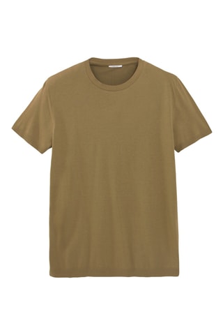 T-shirt - Kaki - IKKS