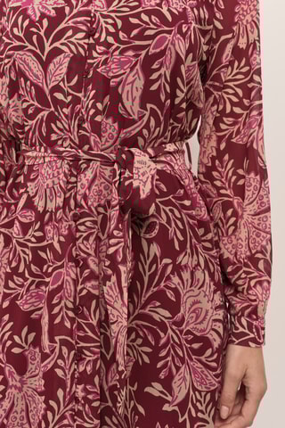 Robe chemise - Bordeaux  - One Step