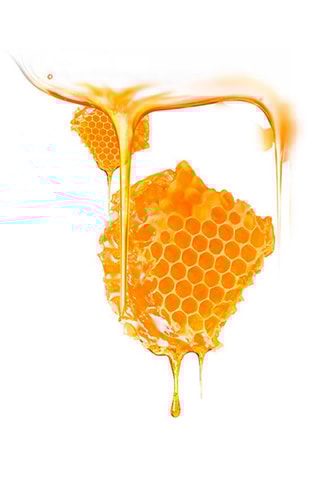 6 Hydraterende Maskers UFO™ Manukahoning