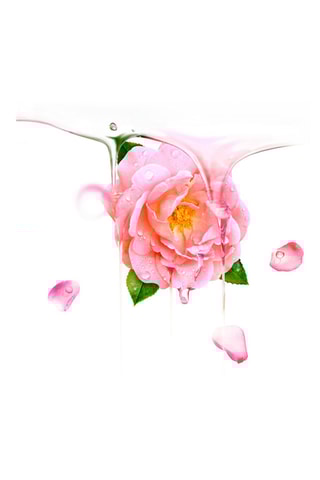 6 Hydraterende Maskers UFO™ Bulgaarse Roos