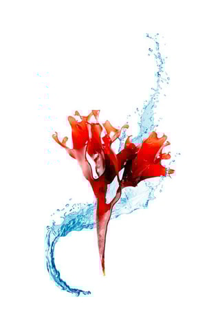 7 Maskers Make My Day - Elk Huidtype - 7 x 6 g