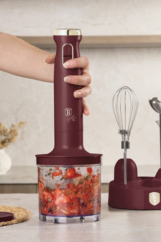 Mixeur plongeant 6-en-1 Leonardo - 800 W