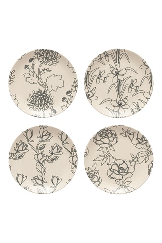 4 assiettes plates Eléments