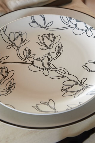 4 assiettes plates Eléments