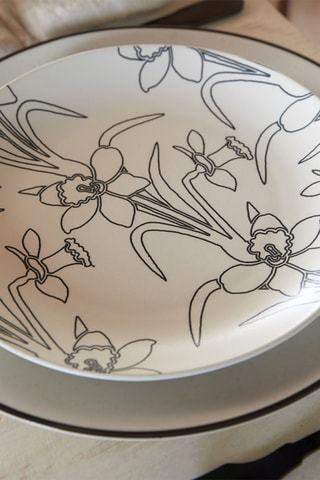 4 assiettes plates Eléments