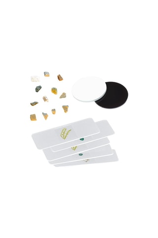 Invallende en Doorvallende Microscoop 50x