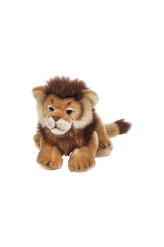 Knuffelleeuw - Vanaf 6 Jaar