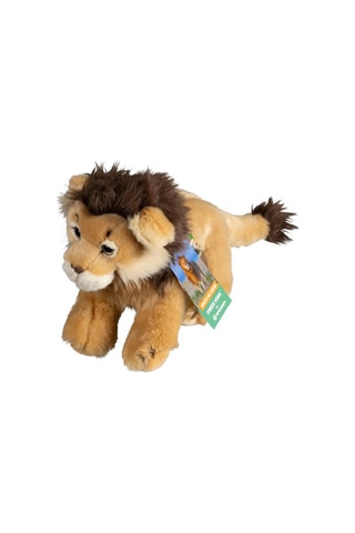 Knuffelleeuw - Vanaf 6 Jaar