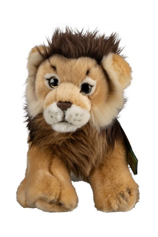 Knuffelleeuw - Vanaf 6 Jaar
