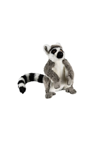 KnuffelLemuur Vanaf 6 Jaar