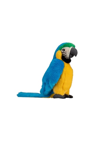 Knuffelpapegaai - Vanaf 6 Jaar