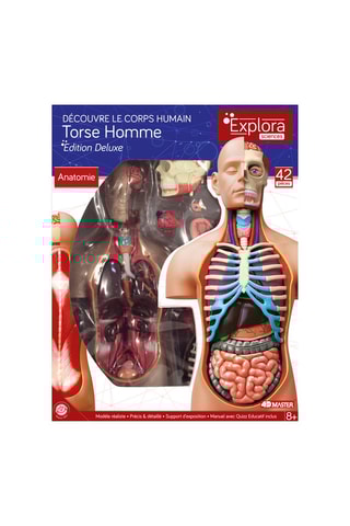 Romp Anatomisch Model  Vanaf 8 Jaar
