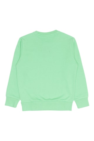 Sweat - Vert