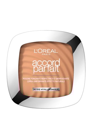 Poeder Accord Parfait N°7.D Canelle - 9 g