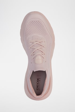 Tennis - Rose