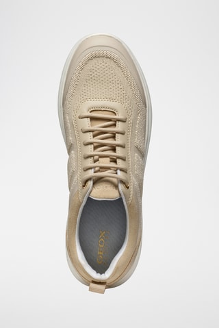Baskets Spherica - Taupe