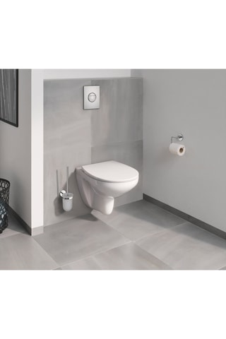 Hangtoilet met Klep