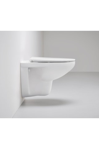 Hangtoilet met Klep