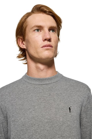 Pull regular - Gris