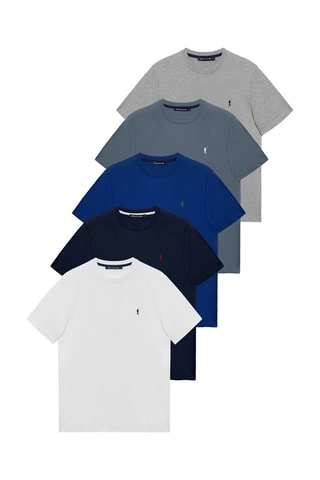 5 t-shirts Gris chiné, gris foncé, bleu, bleu roi et blanc