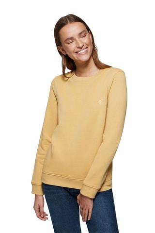 Sweat Camel