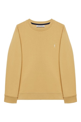 Sweat Camel