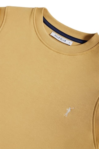 Sweat Camel