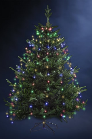 Guirlande pour sapin LED - Multicolore - 1,65 m