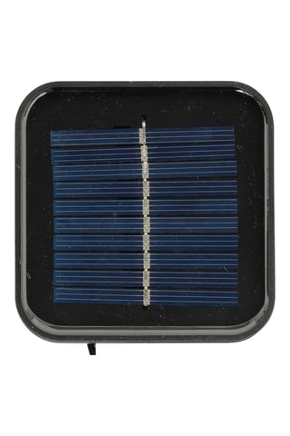 Mangouste LED - Marron