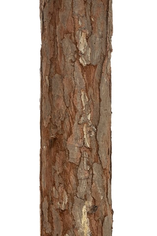 Sapin artificiel - 180 cm - Vert clair