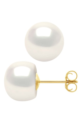 Puces - Or jaune et perles de culture d'eau douce