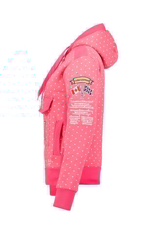 Sweater met Capuchon Gyrelle 
Roze