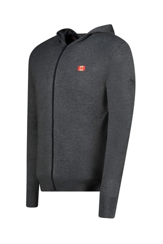 Vest met Capuchon Felinoodeak - Donkergrijs