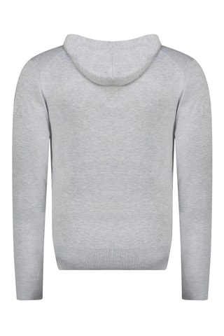 Vest met Capuchon Felinoodeak - Lichtgrijs