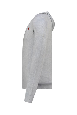 Vest met Capuchon Felinoodeak - Lichtgrijs