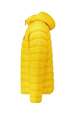 Gewatteerde Jas met Capuchon Amigomapeak - Mosterdgeel