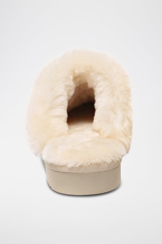 Pantufas forradas de nobuck Raven - Bege